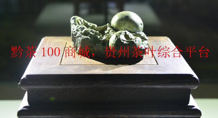 贵州晴隆茶籽化石