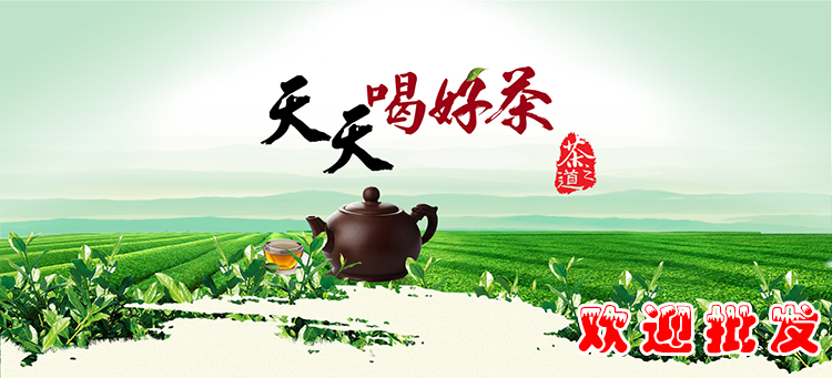 贵州茶批发