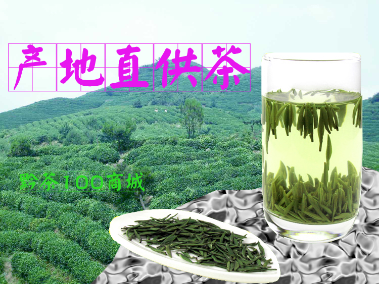 湄潭翠芽茶叶