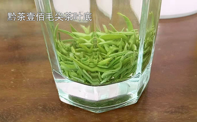 贵州毛尖茶