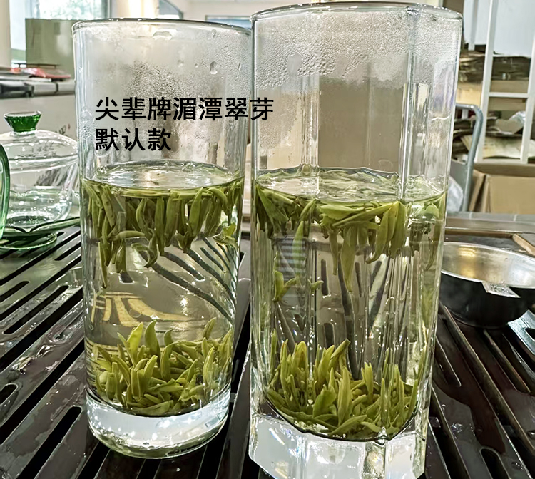尖辈翠芽 尖辈翠芽