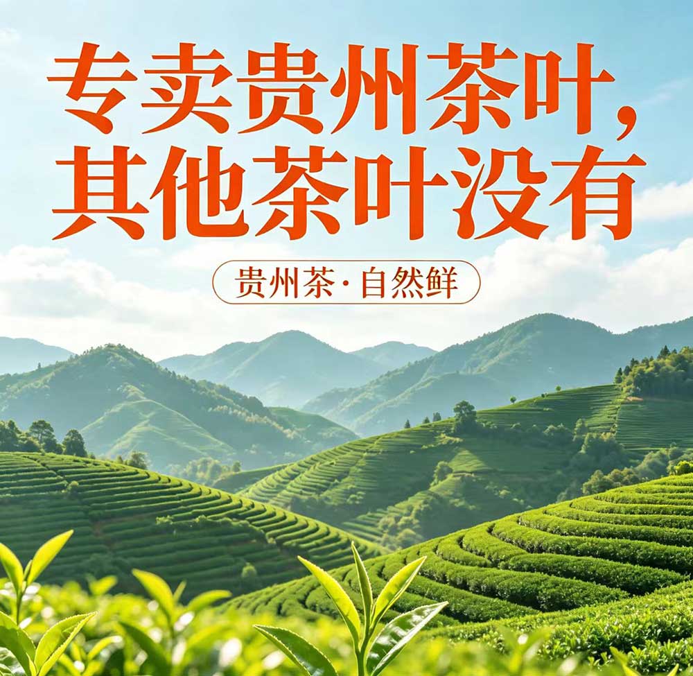 黔茶壹佰专卖贵州茶叶